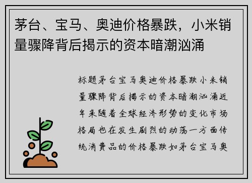 茅台、宝马、奥迪价格暴跌，小米销量骤降背后揭示的资本暗潮汹涌