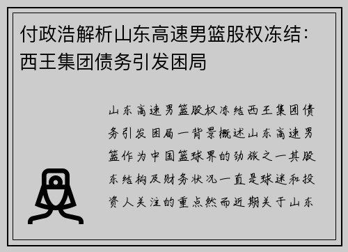 付政浩解析山东高速男篮股权冻结：西王集团债务引发困局