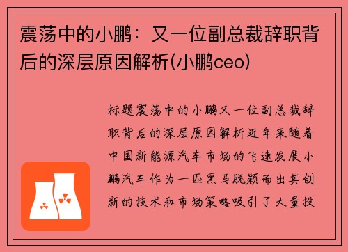 震荡中的小鹏：又一位副总裁辞职背后的深层原因解析(小鹏ceo)