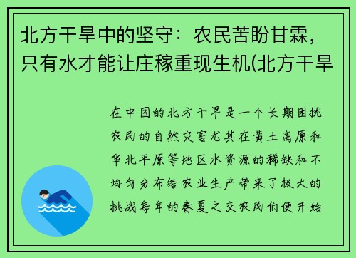 北方干旱中的坚守：农民苦盼甘霖，只有水才能让庄稼重现生机(北方干旱地区)