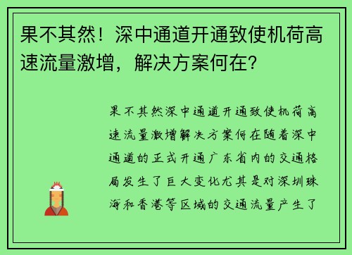 果不其然！深中通道开通致使机荷高速流量激增，解决方案何在？